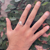 MEN - Tortoise Ring 92.5 Silver