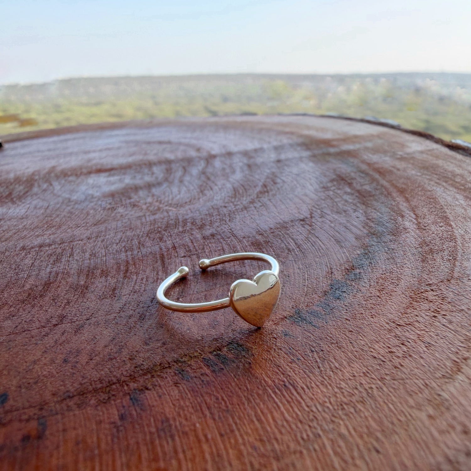 My Heart Ring -  92.5 Silver with 22k Gold Plating